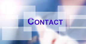 联系必发集团app